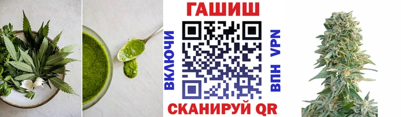 Canna-Cookies конопля  цены наркотик  Шагонар 