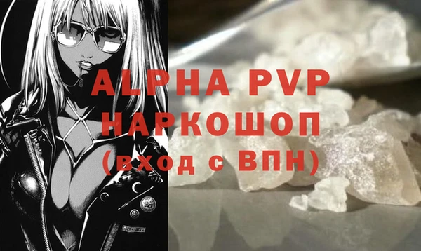 стаф Балахна