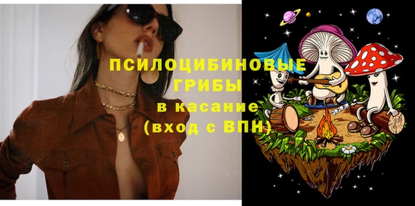 стаф Балахна