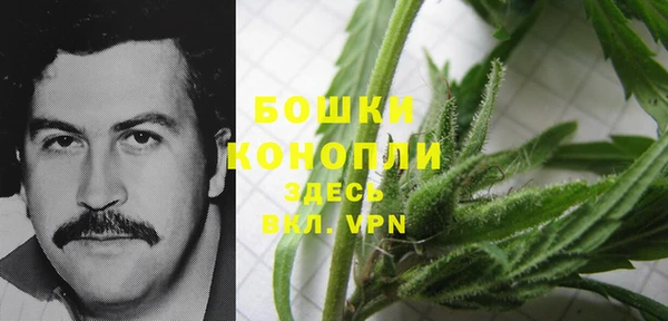 стаф Балахна