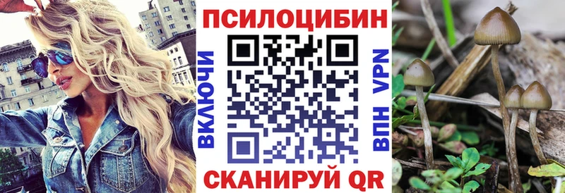 Псилоцибиновые грибы Psilocybe omg ТОР Шагонар